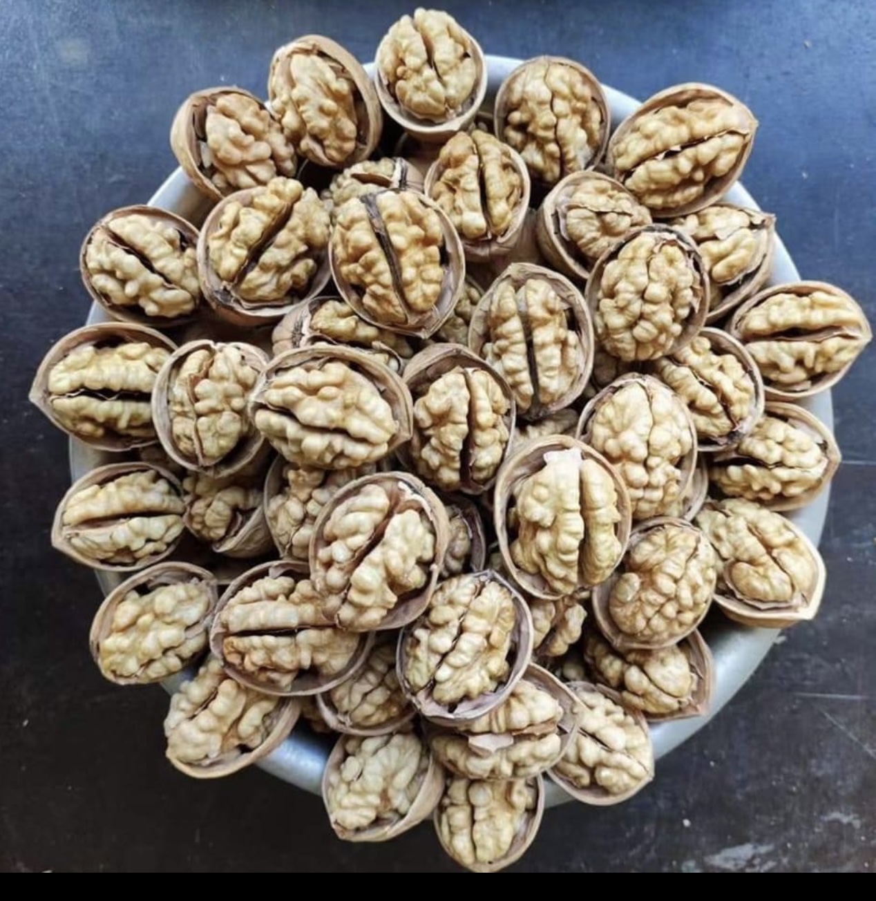 گوێزی سینی ١٨٥