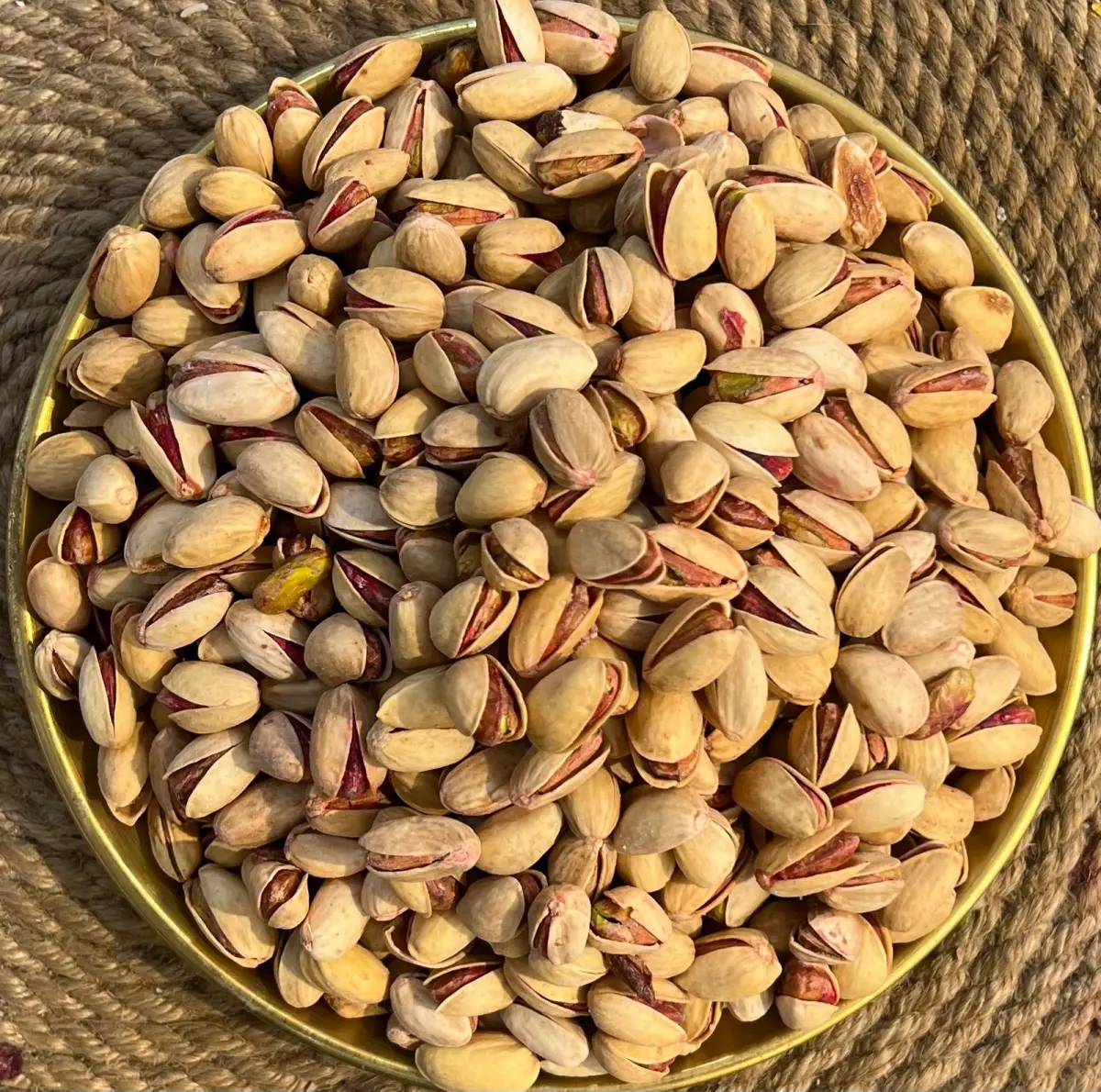 فستقی کۆدی (20)