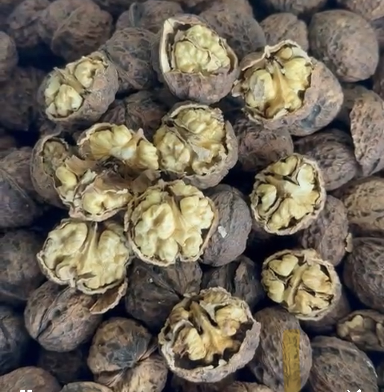 گوێزی سینی یونان