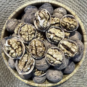 گوێزی سینی ١٨٥