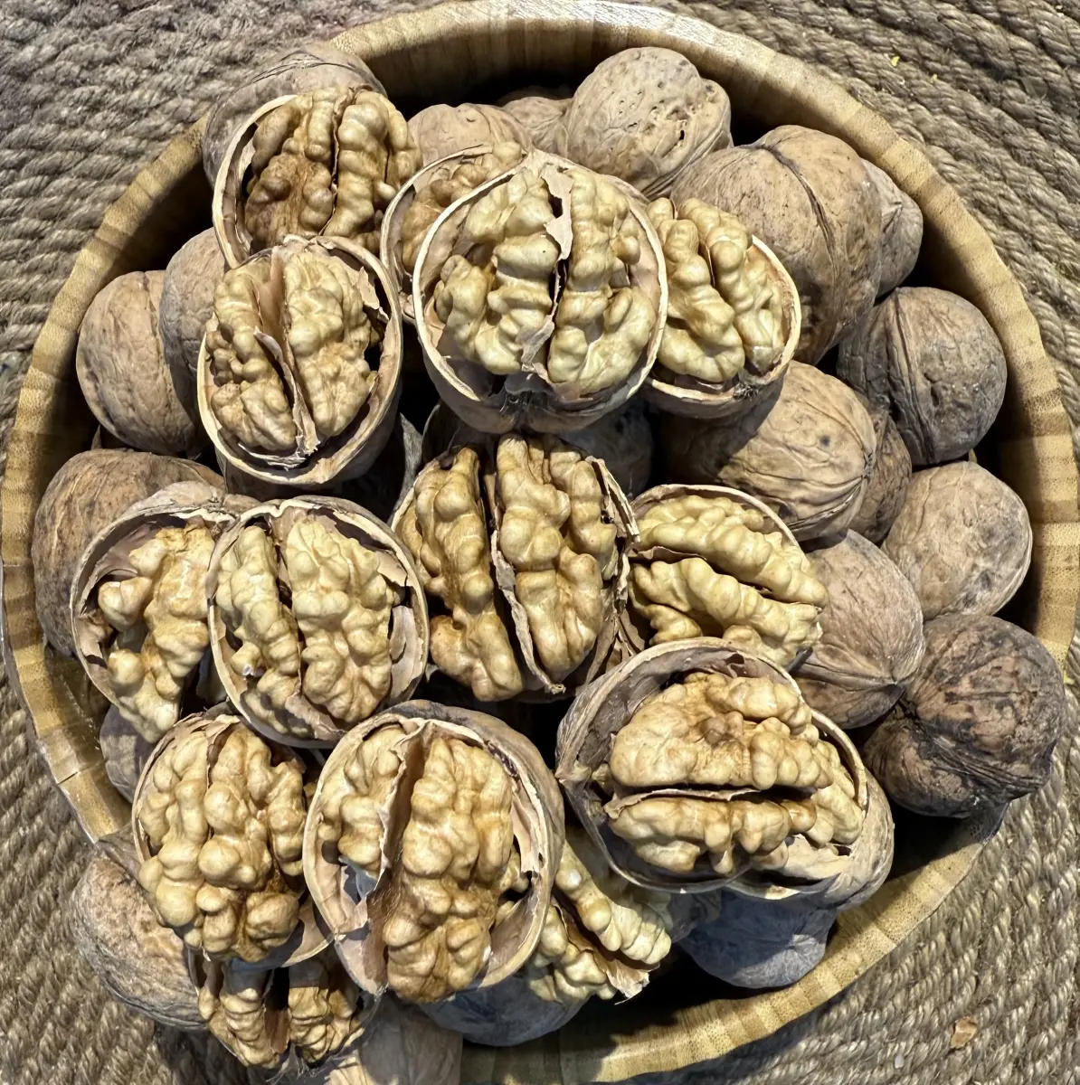 گوێزی سینی ١٨٥ ئوشی