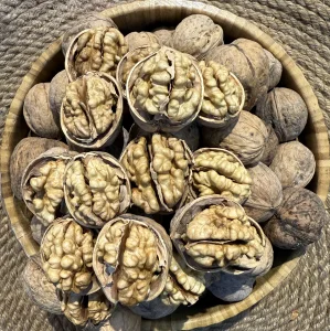 گوێزی سینی ١٨٥ ئوشی