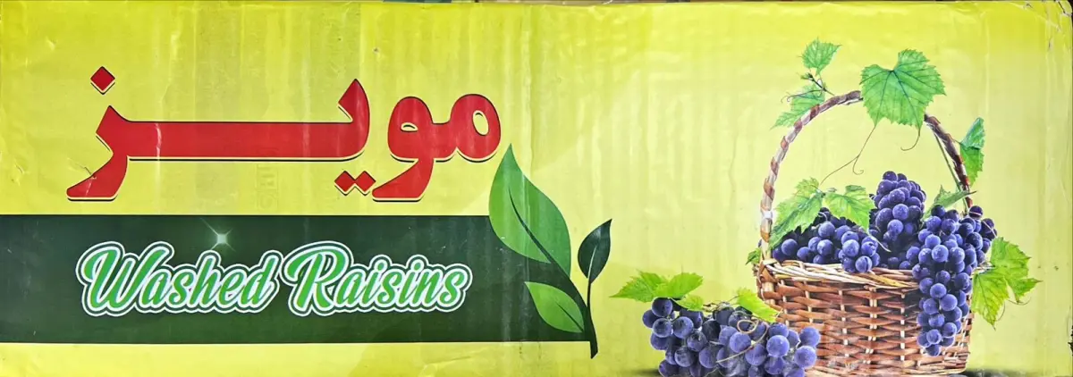 میوژی سور ١