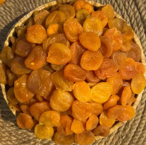 قەیسی ٥ کیلۆیی