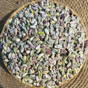 ناوکی فستق کۆدی 58