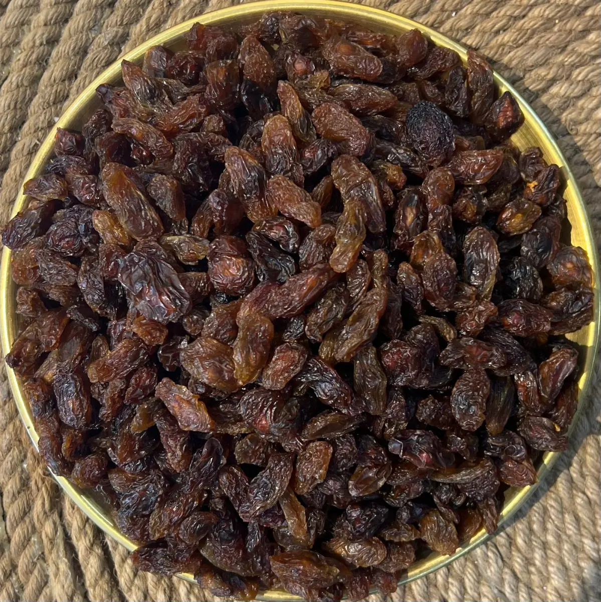 میوژی سور ١