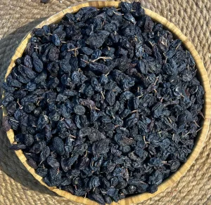 مێوژی ئۆزبەکی قونچک دار