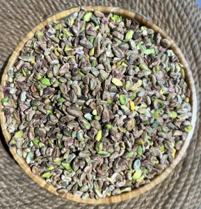 Sناوکە فستق کۆدی 