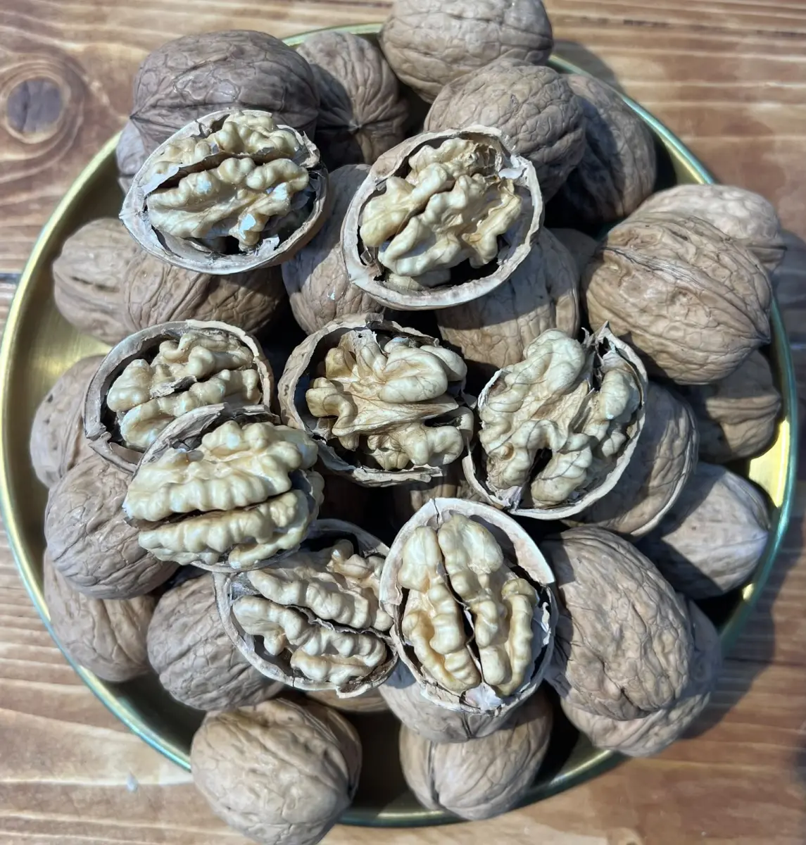 گویزی شیلی قیاس +36