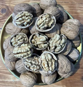 گویزی شیلی قیاس +36